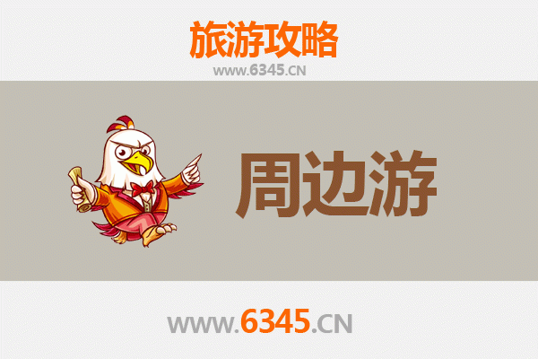 新北五股周边游攻略：探索自然与文化的完美融合